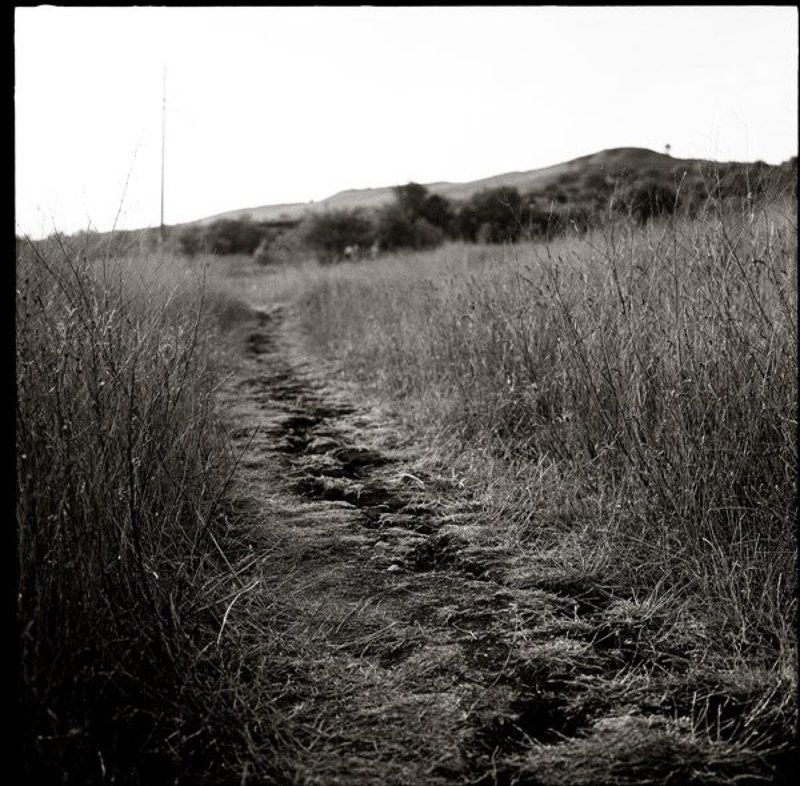 земля, треснула *photo preview