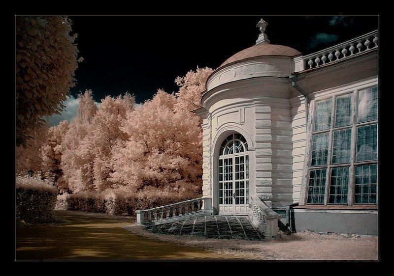 ик, infra red, инфракрасная съемка, кусково Кусково. ИК. Каменная оранжерея IIphoto preview