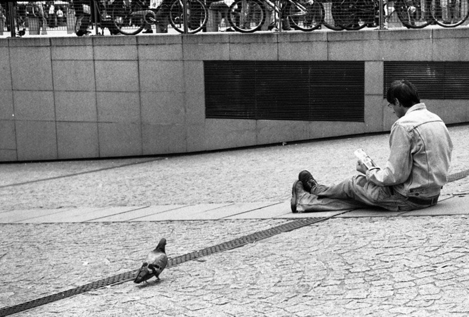 париж, город, человек, голубь, denlewod