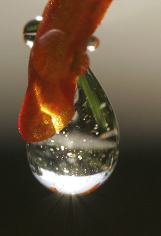 капля, природа капелькаphoto preview