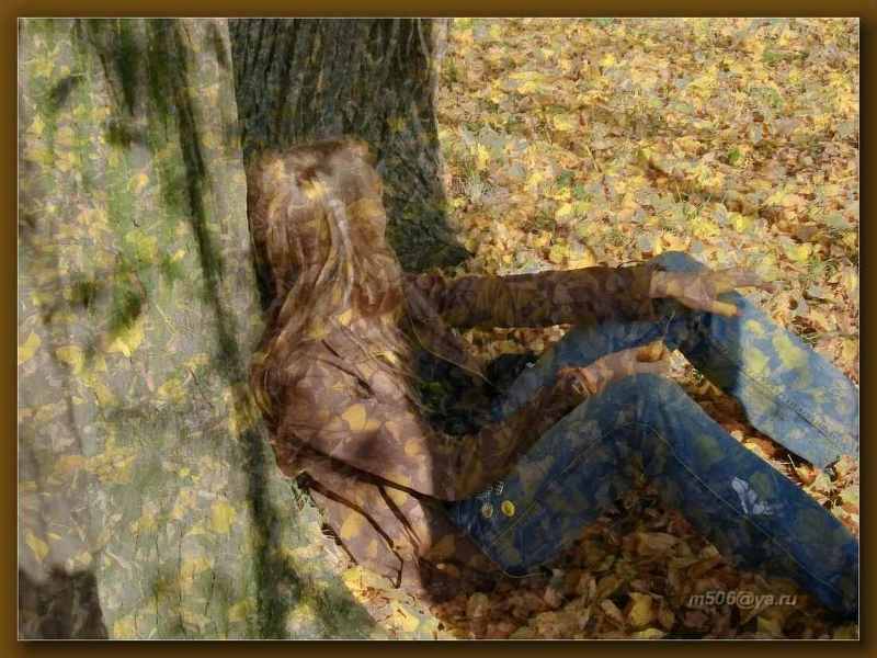 осень, захарово, m506 Захарово, осеньphoto preview