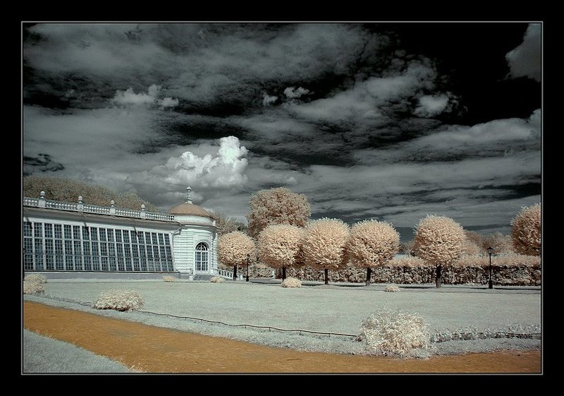 ик, infra red, инфракрасная съемка, кусково Кусково. ИК. Каменная оранжерея IIIphoto preview