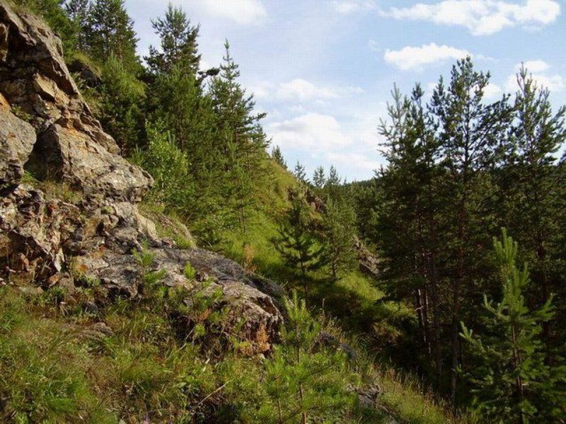 гора, лето, лес В гору...photo preview