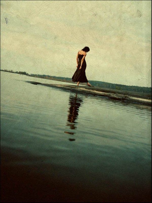 ...ёжик и море...photo preview