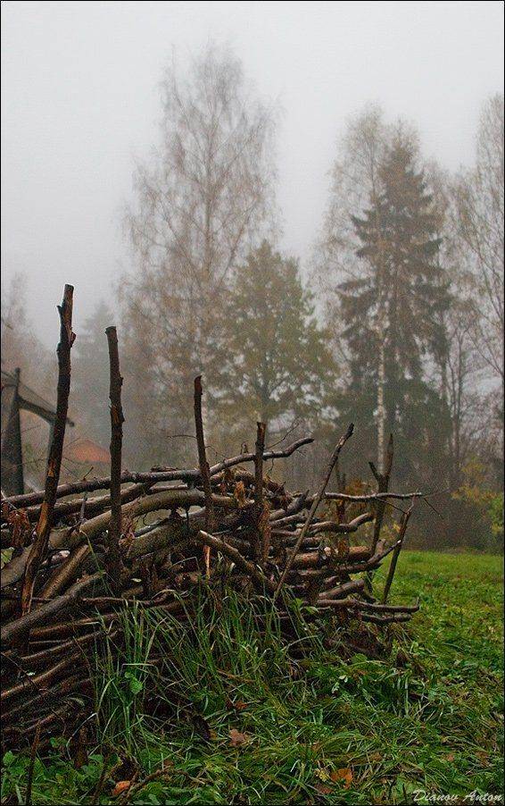 туман, похож на обман.... Автор: Тоша , Тоша