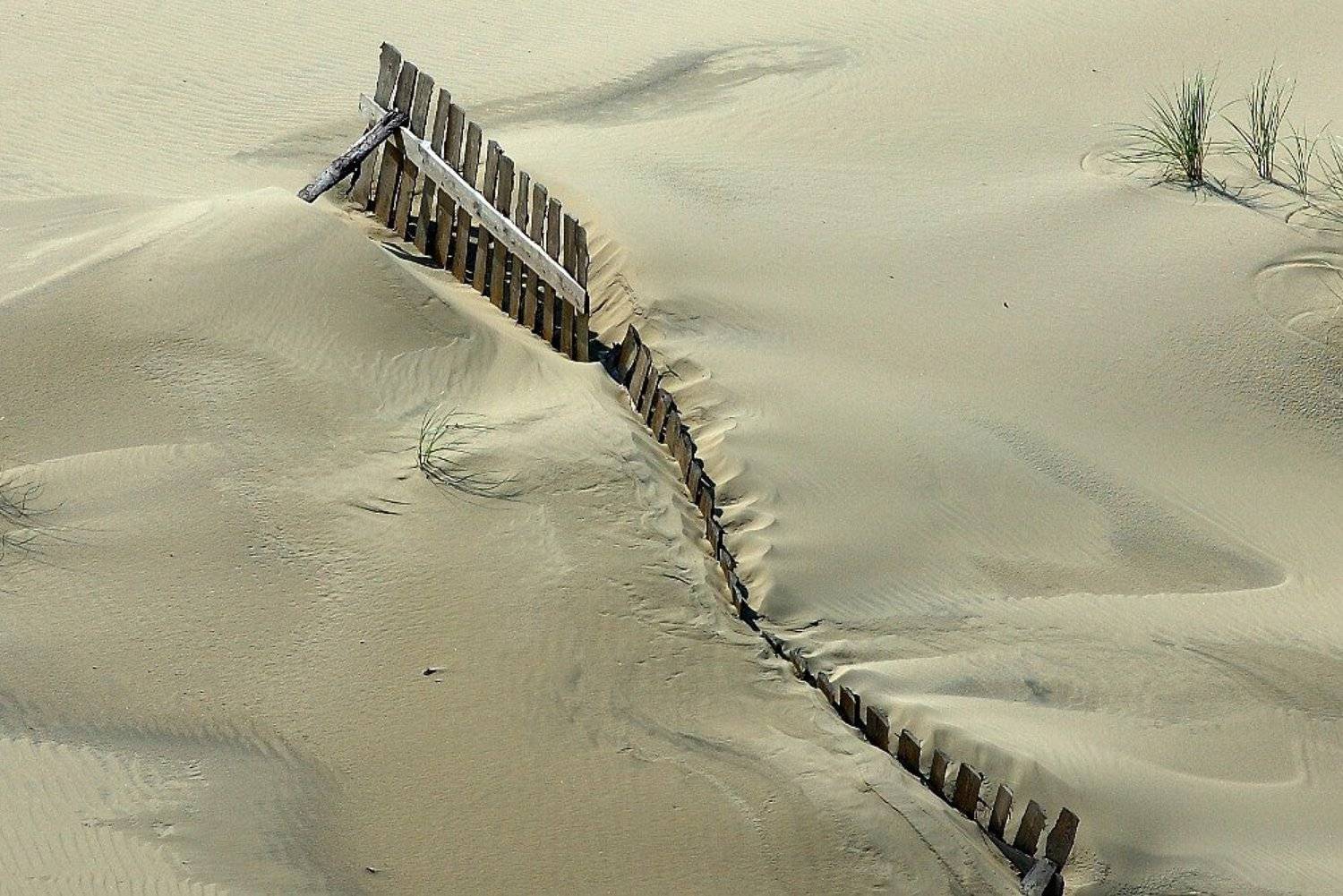 ***. Автор: Kaiser Sozo пейзаж, пески, дюны, борьба со стихией, балтика, куршская коса, Kaiser Sozo