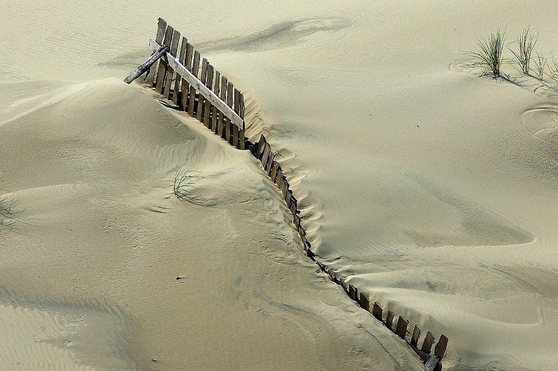 пейзаж, пески, дюны, борьба со стихией, балтика, куршская коса *** фото превью