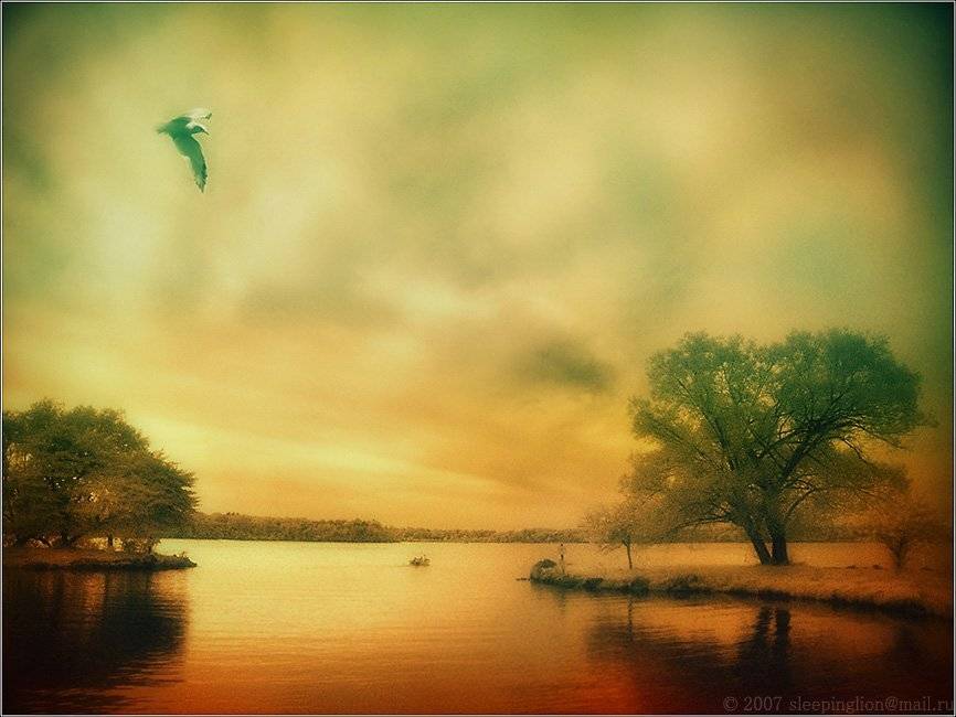 The view of silence. Автор: Pilgrim ик, пейзаж, infrared, инфракрасный, инфракрасное, pilgrim, Pilgrim