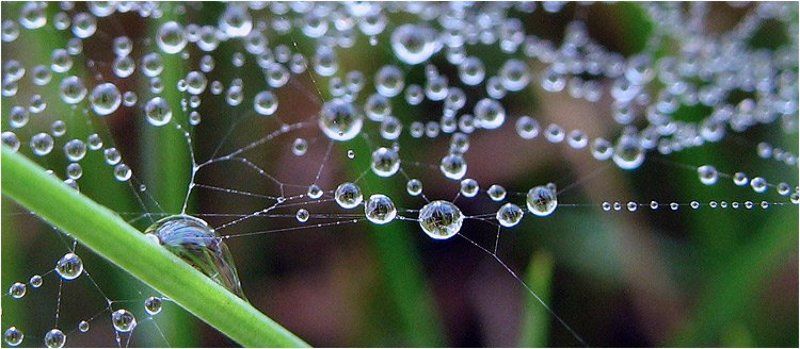 брильянты Н2Оphoto preview