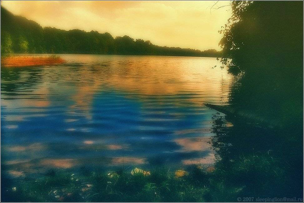 пейзаж, осень, пленка, 35 мм, pilgrim, Pilgrim