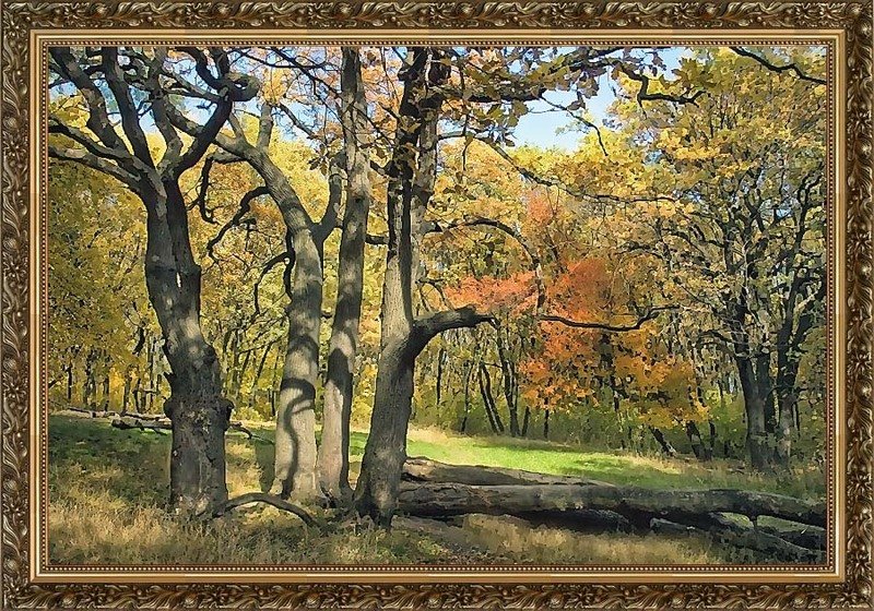 Лужайка осениphoto preview