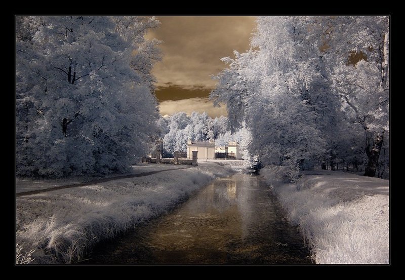 ик, infra red, инфракрасная съемка, кусково Кусково. ИК. .photo preview