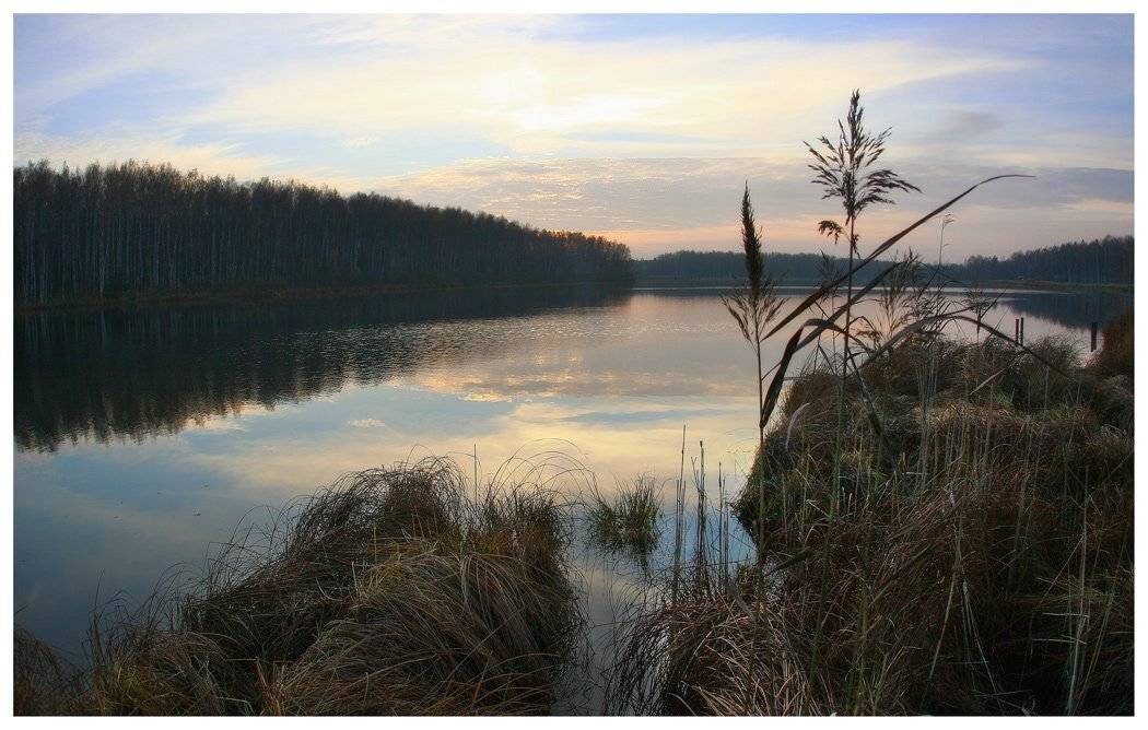 , Сергей Прокошин