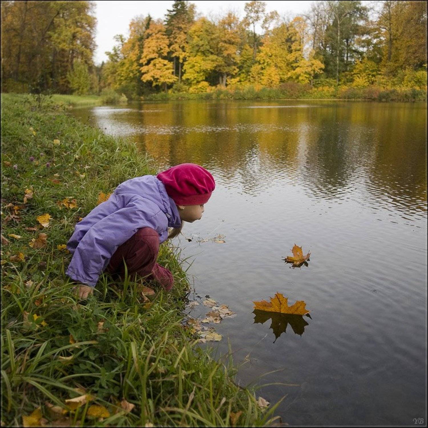 павловск, осень, пруд,, Братаев Юра