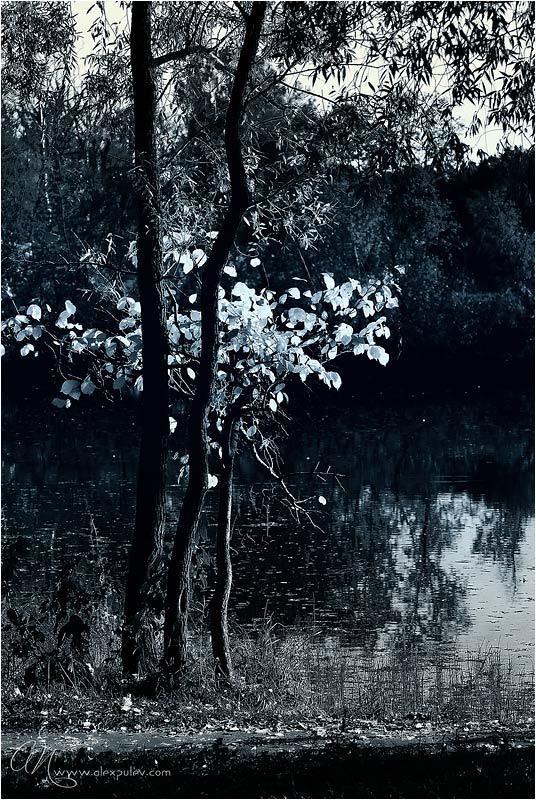 природа Посвящено Felicia Sandanato из Монако ... фото превью