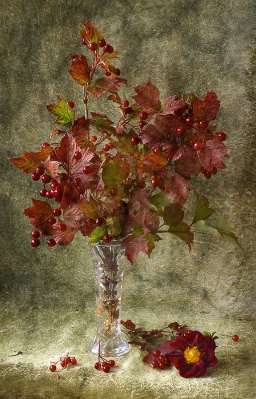 Калиновый фото превью