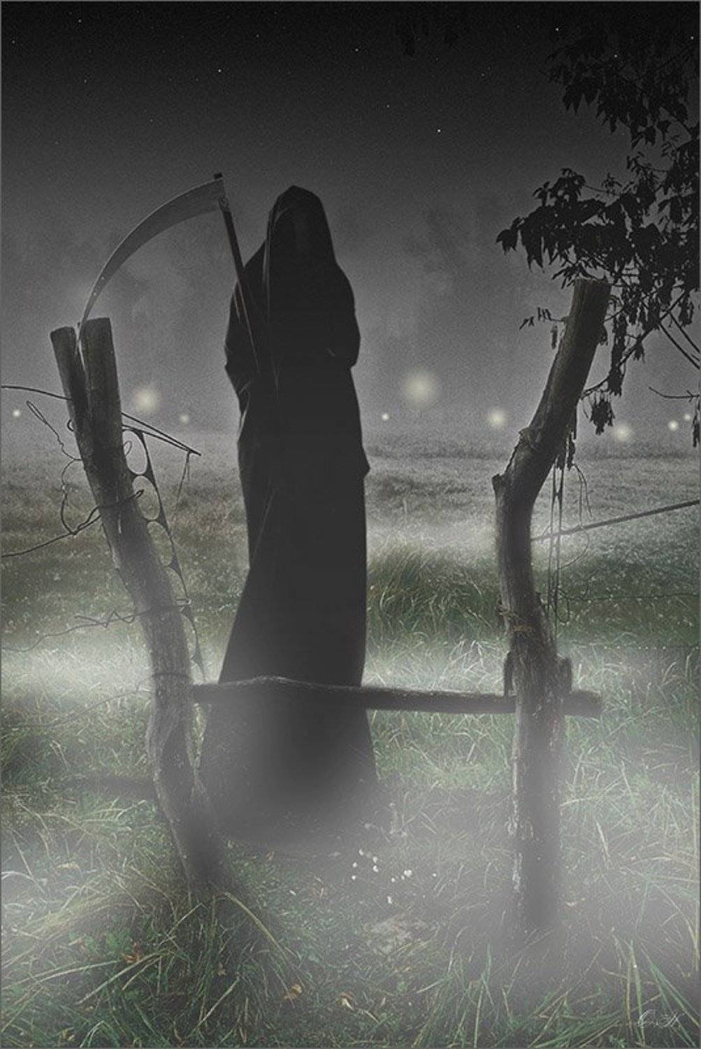 Ночь Кладбище Тропинка. Автор: NO хэллоуин halloween, NO