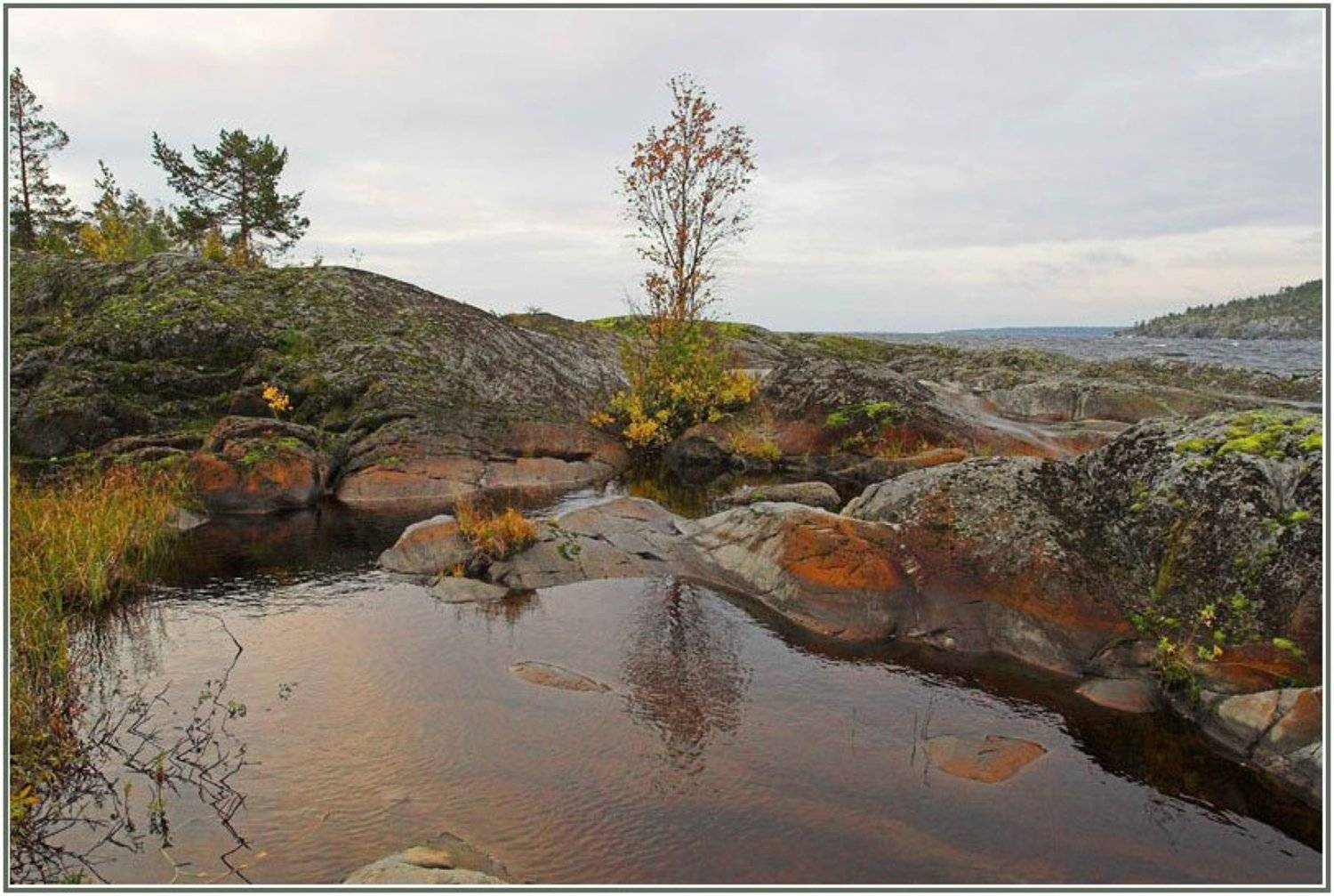 Яркие краски осени. Автор: Олечка , Олечка