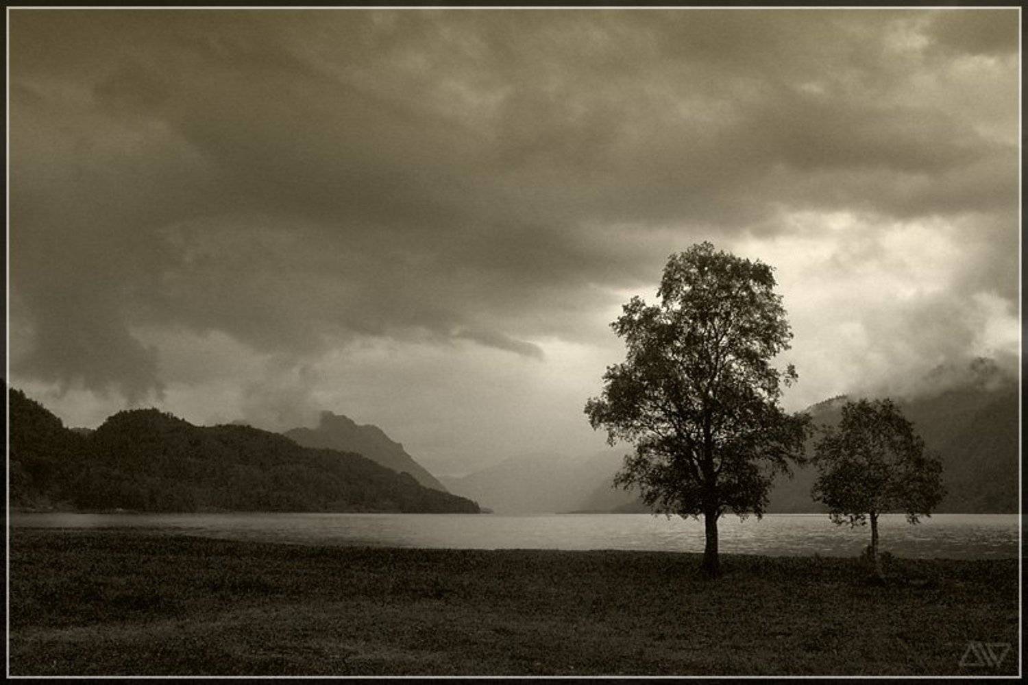 , Денис Рассоха