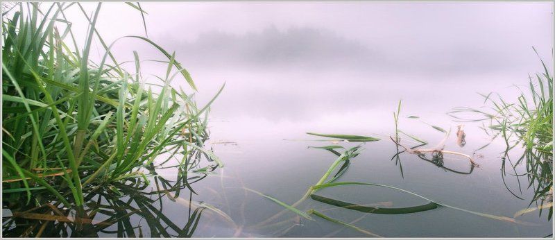 река, утро В тишине речной...photo preview