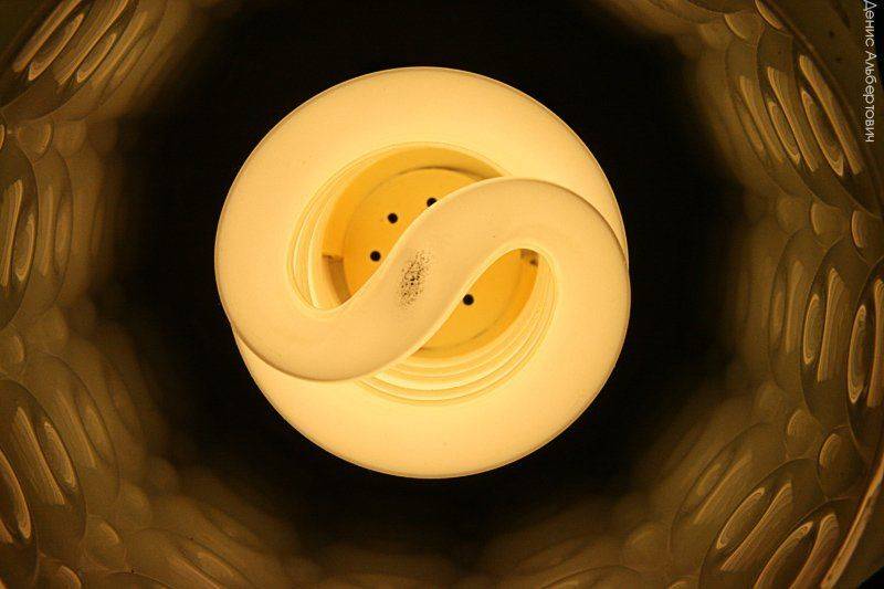 света безконечность. Автор: Денис Альбертович , Денис Альбертович