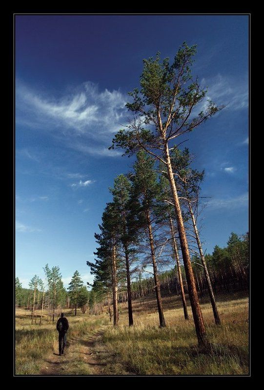 осень, дерево, небо, листья, забайкалье Вперед и в верхphoto preview