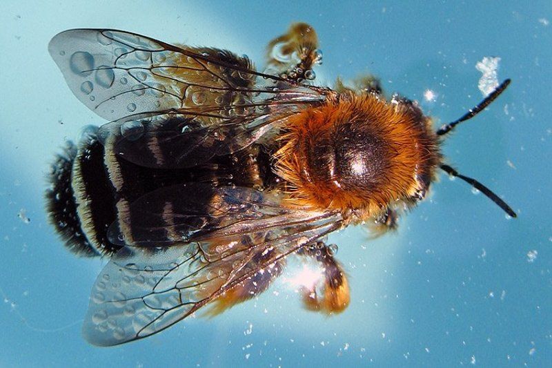 приводниласьphoto preview