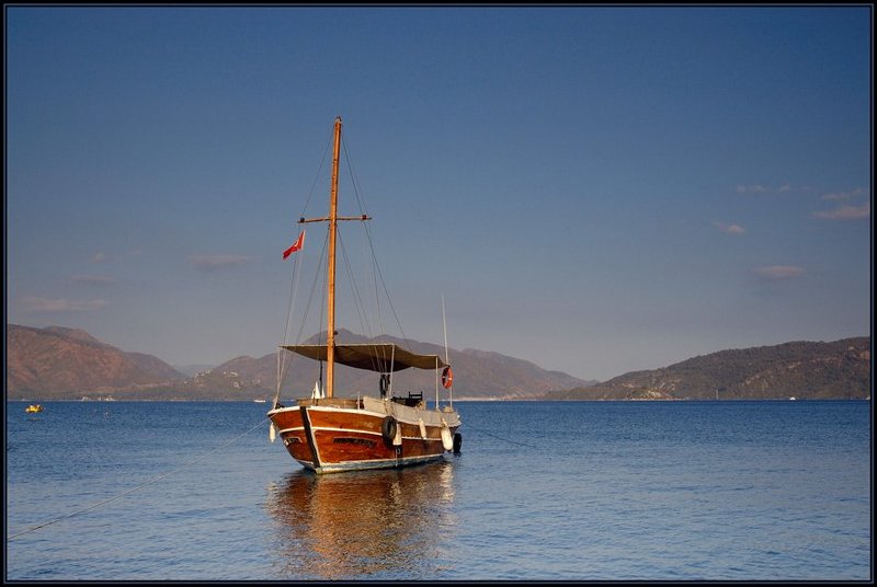 turkey ***photo preview