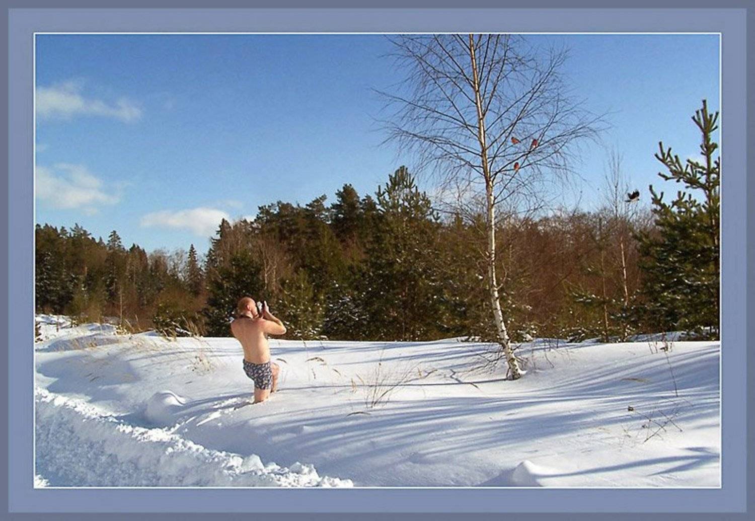 , Михаил Курцев