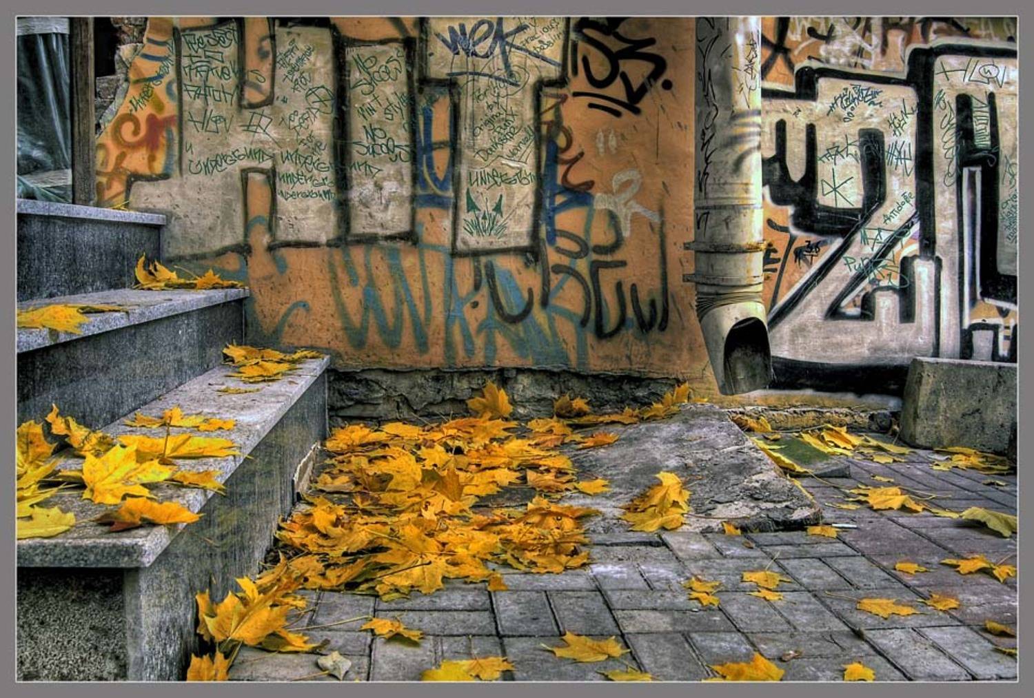 По местам не хоженным...(1). Автор: domovoi город,осень,двор, domovoi