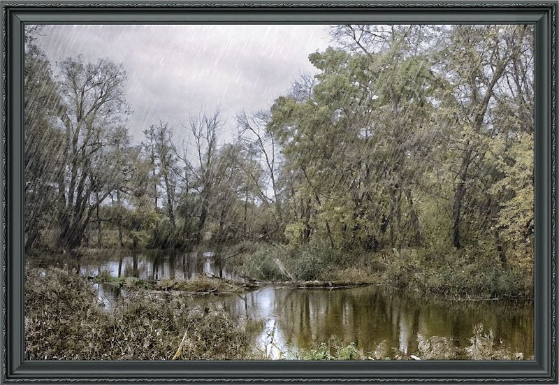 пейзаж, лес, осень, вода Жеребецphoto preview