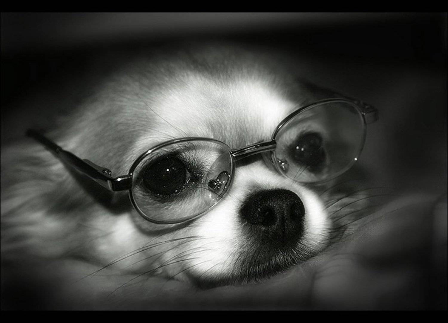 Мечты. Автор: Коломиец Алексей , Коломиец Алексей