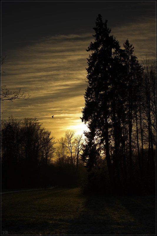 павловск, вечер, осень вечером в Павловскеphoto preview