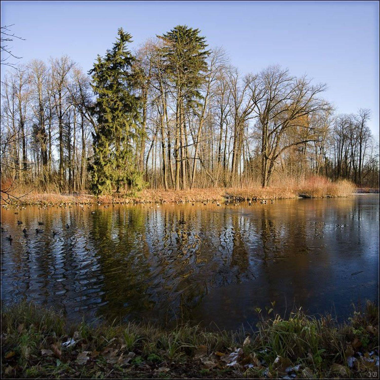 павловск, осень, вечер, лёд, Братаев Юра