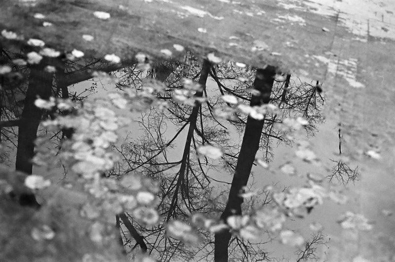 осеннееphoto preview