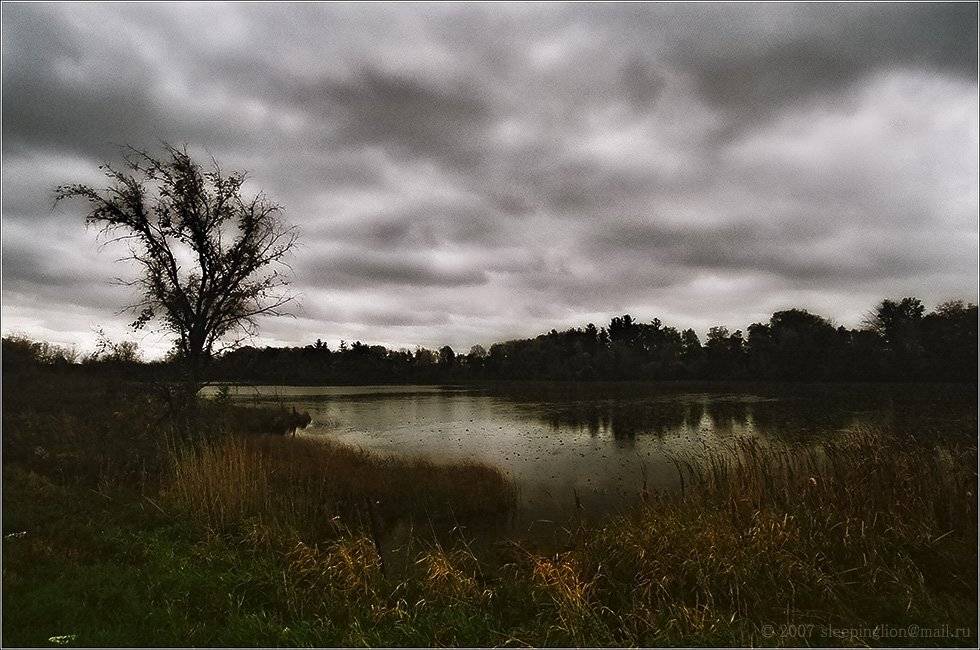 пейзаж, осень, пленка, 35 мм, pilgrim, Pilgrim