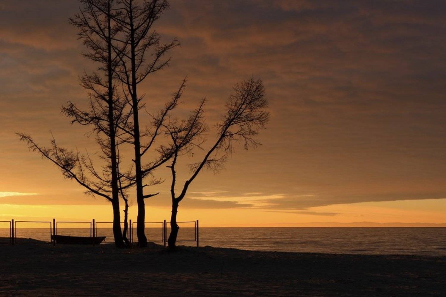 * * *. Автор: Олег Шубаров бурятия, байкал, энхалук, деревья, сосна, лодка, забор, Олег Шубаров