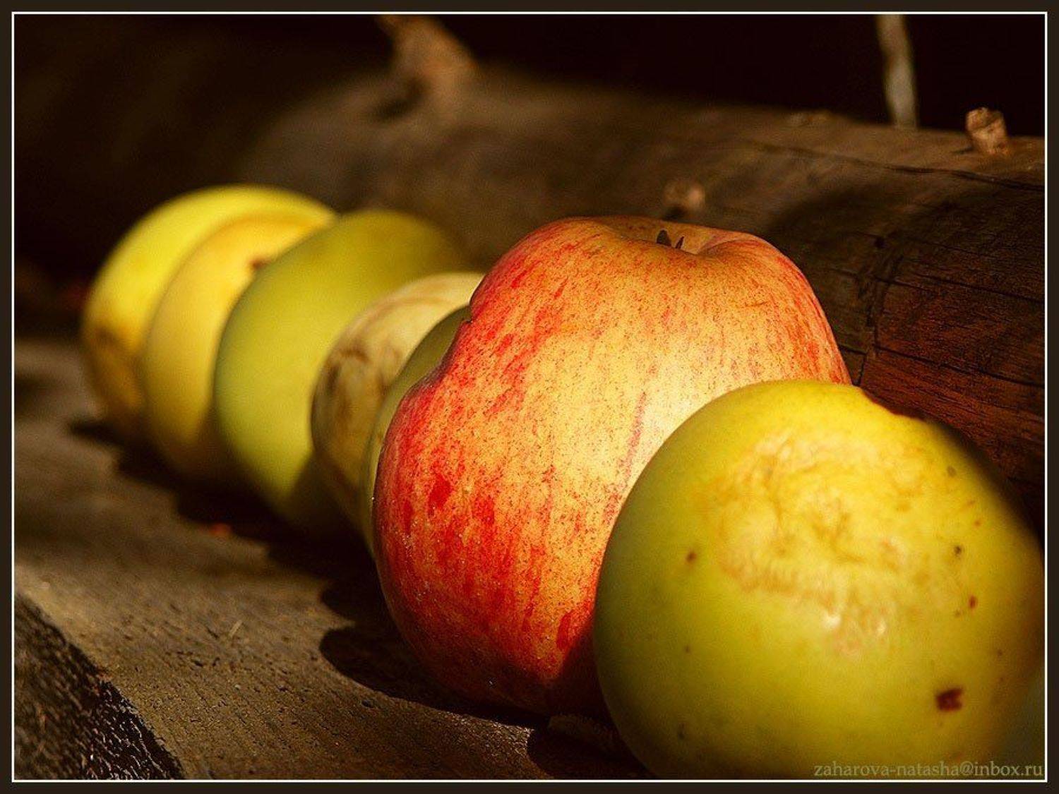 Оно.... Автор: Наталья Захарова яблоки, юрлово, Наталья Захарова