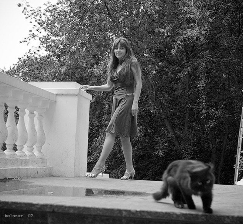 алена, и, кот, черный Ну куда же ты котик!photo preview