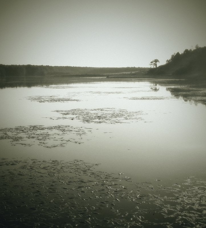 щучье местоphoto preview