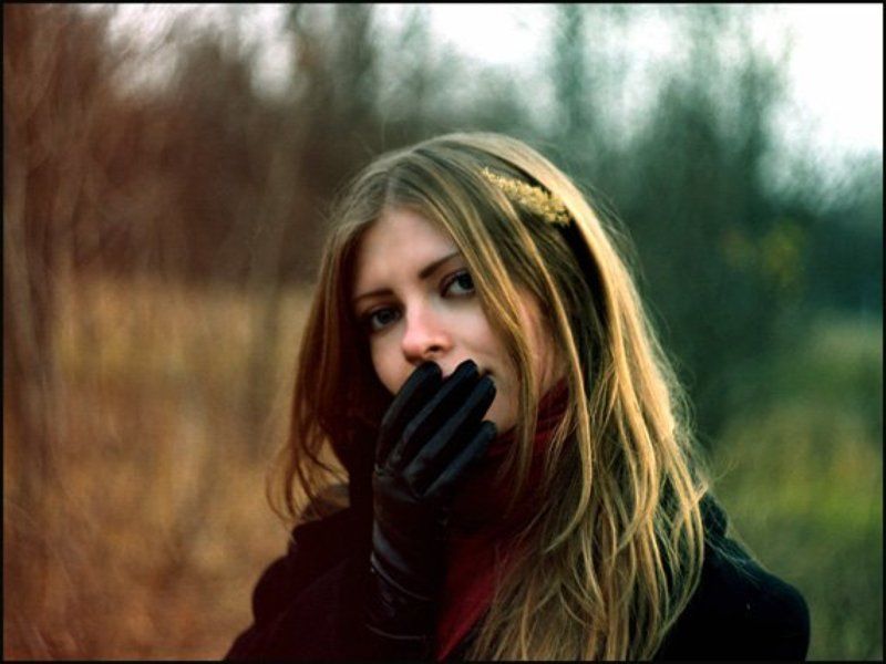 осень природа +photo preview