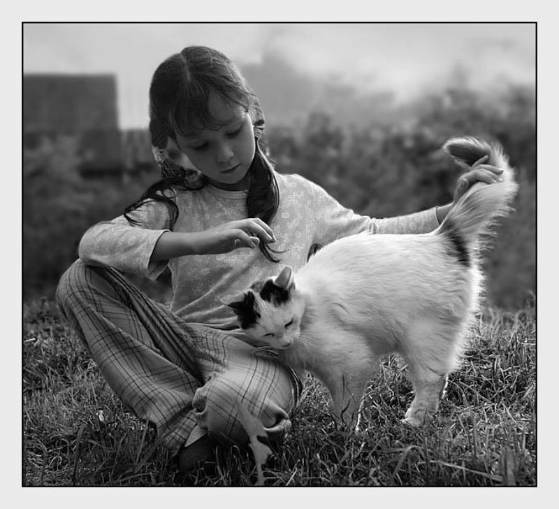 ульяна кошка родственные душиphoto preview