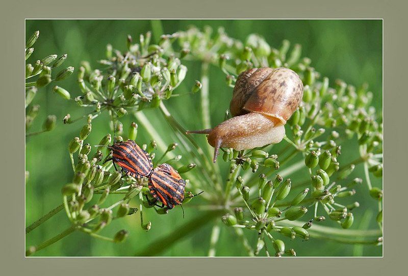 А чо это вы тут делаете? фото превью