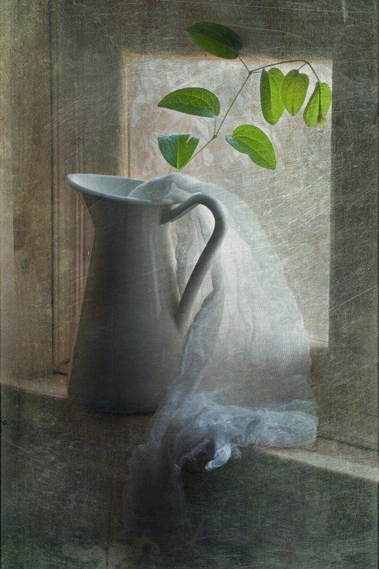 кувшин, ветка, зеленая Простойphoto preview