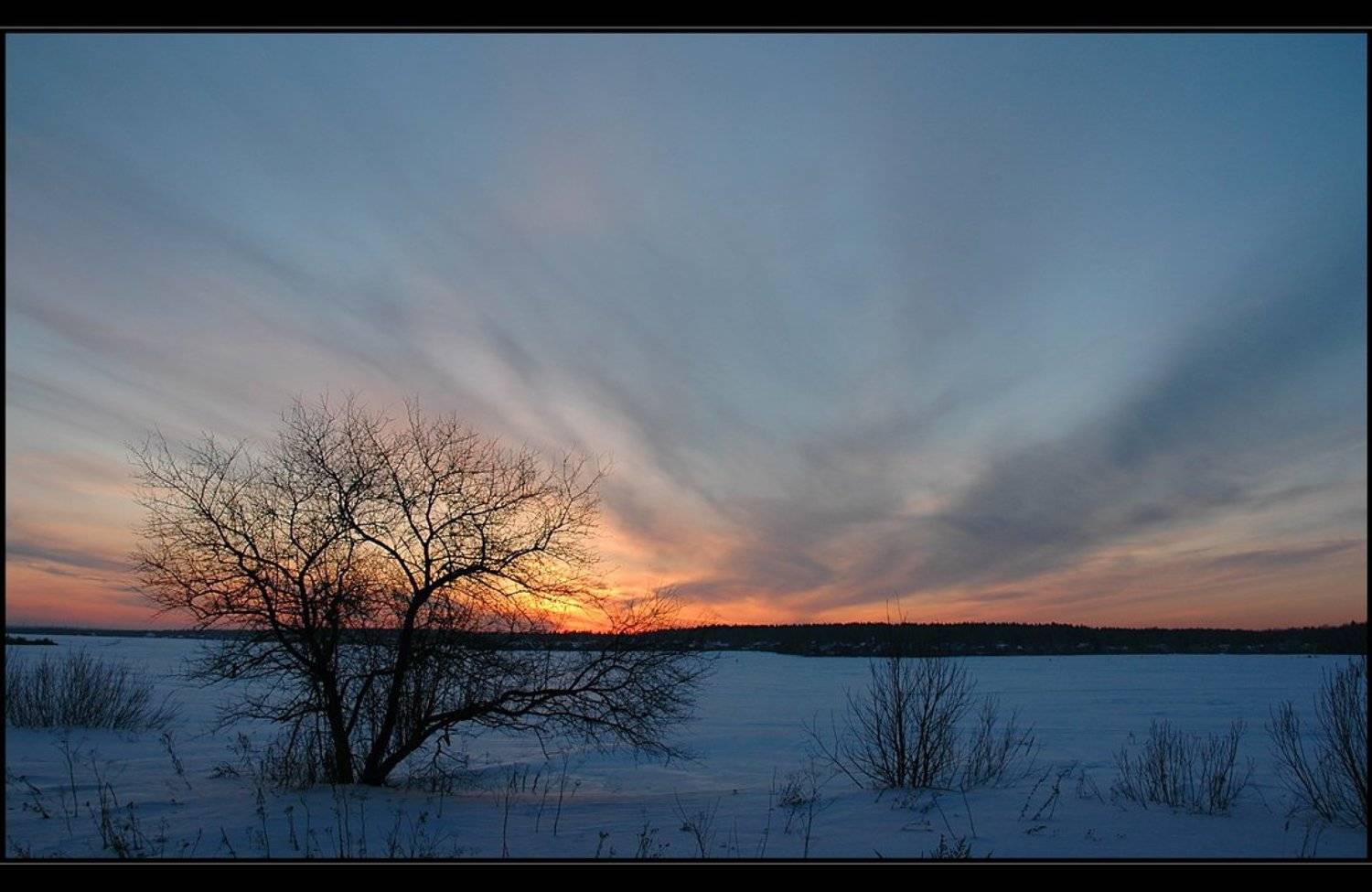 ***. Автор: D.G. , D.G.