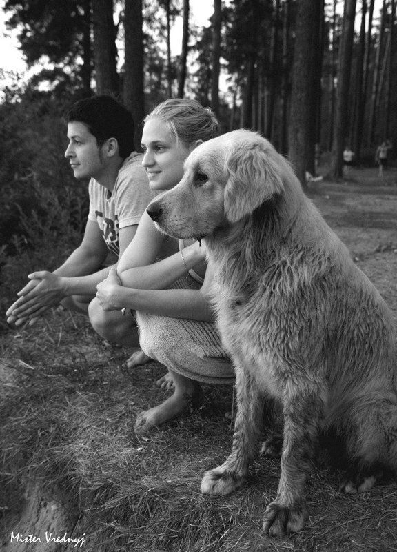 botunov три товарища не считая фотографаphoto preview