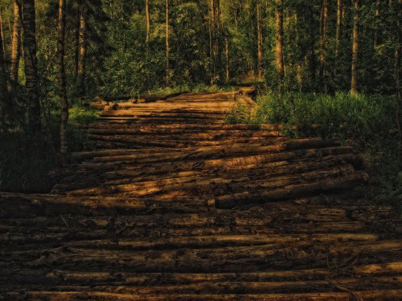 Там на неведомых дорожках...photo preview