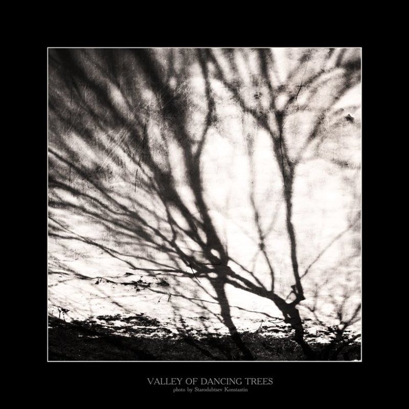 Valley of dancing trees... 7photo preview