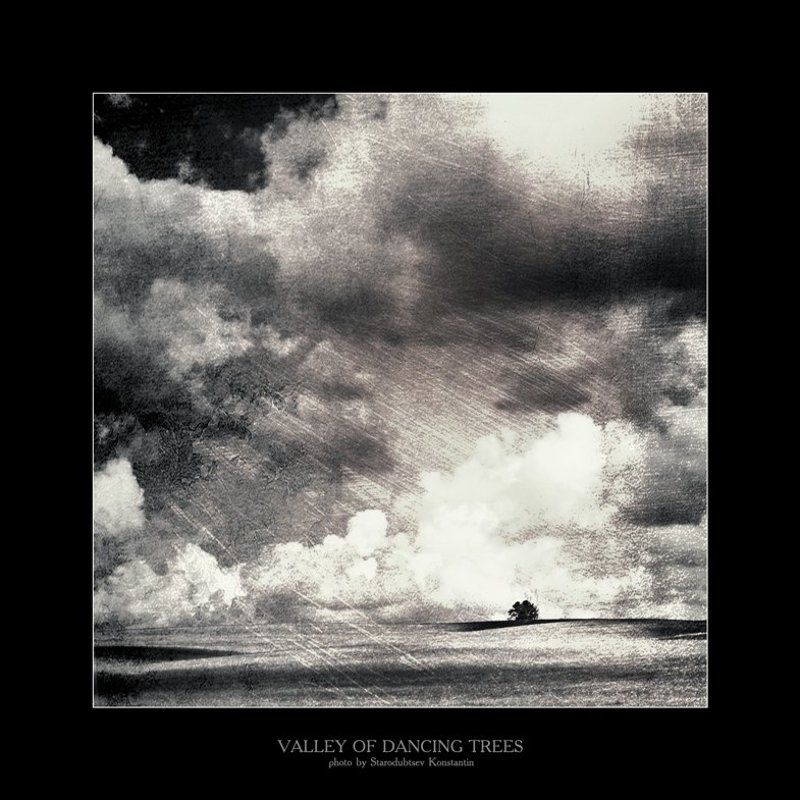 Valley of dancing trees... 8photo preview