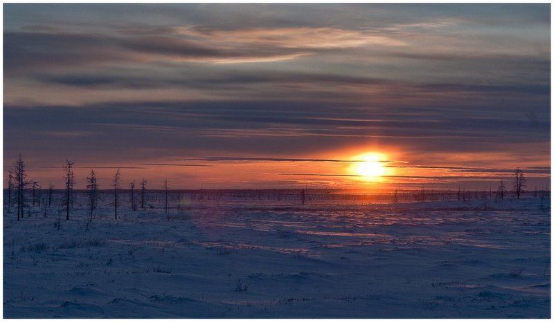 Тундра .однако...photo preview